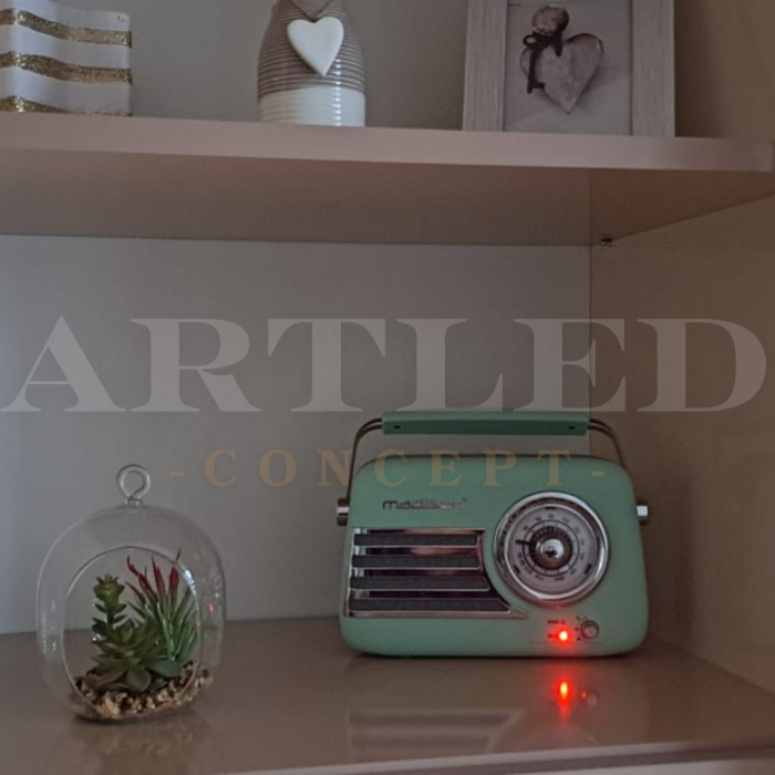 RADIO FM PORTABIL NOSTALGIA 15W CU FUNCTIE BLUETOOTH/AUX - VERDE [2]
