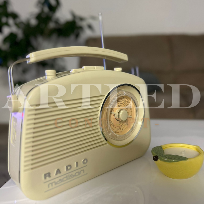 RADIO FM PORTABIL VINTAGE 15W CU FUNCTIE BLUETOOTH/AUX [2]