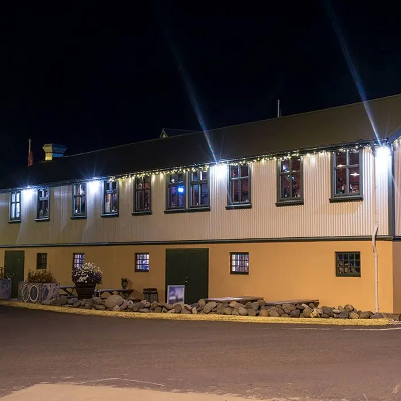 REFLECTOR LED SMD 100W 6400K IP65 - NEGRU [9]