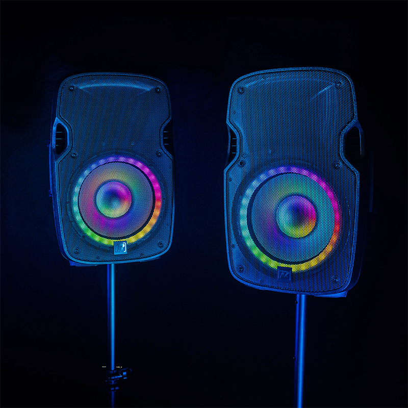 SET BOXE 2X12"/30CM 2X250W RMS 1 ACTIV + 1 PASIV USB/SD/BT/FM [12]