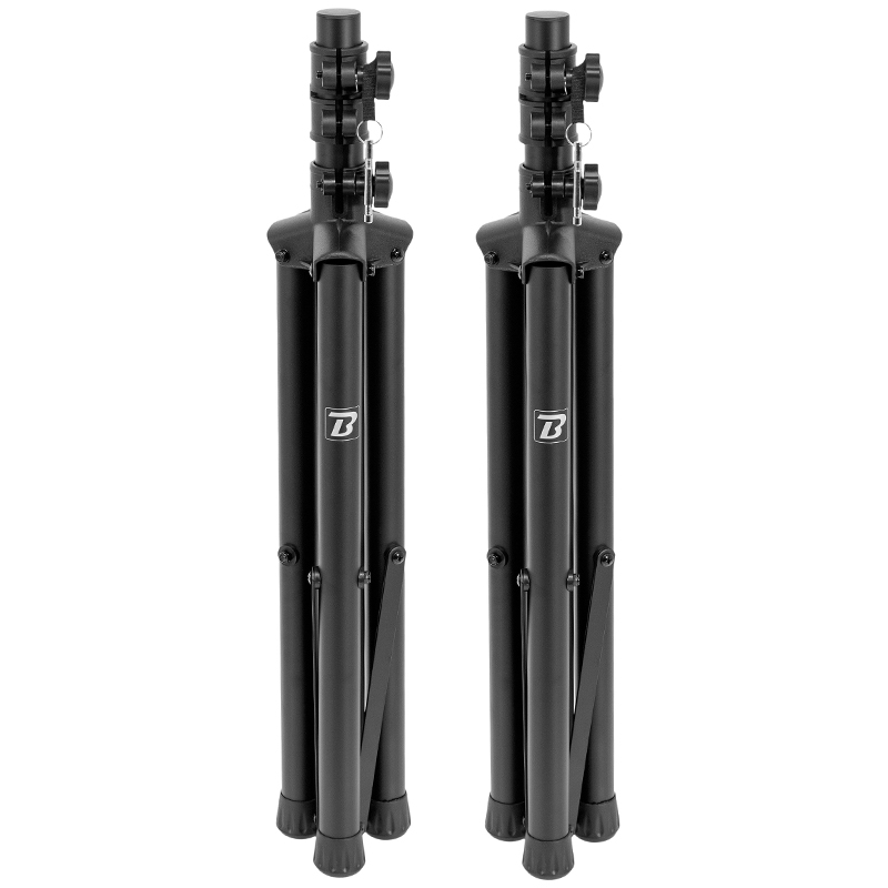 SET BOXE 2X12"/30CM 2X250W RMS 1 ACTIV + 1 PASIV USB/SD/BT/FM [7]