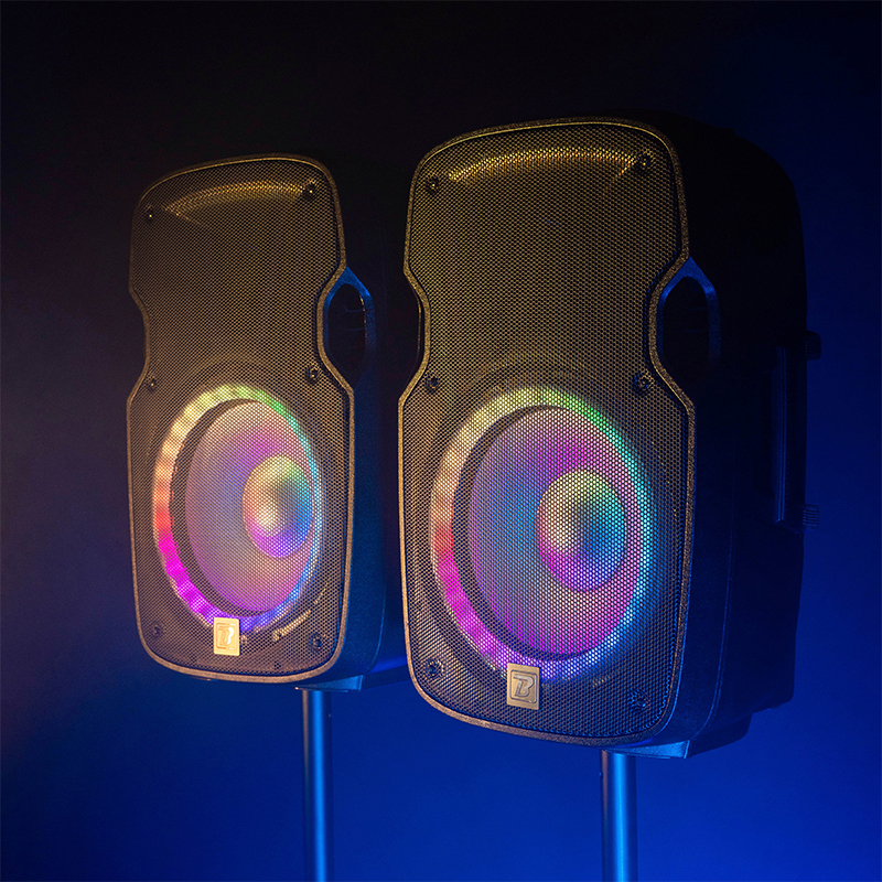 SET BOXE 2X12"/30CM 2X250W RMS 1 ACTIV + 1 PASIV USB/SD/BT/FM [14]