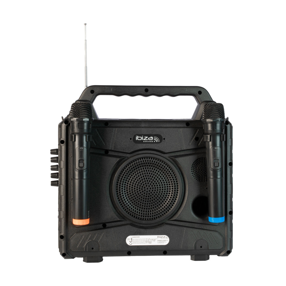 SET PORTABIL KARAOKE CU ECRAN INCORPORAT 14.1" SI 2 MIC WIRELESS [5]