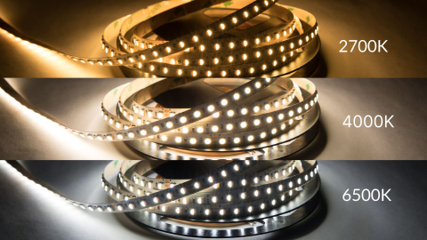 Banda led CCT,10W,  24V, SMD. 120LED/m, 100lm/W , 8mm, IP20, 5 metri