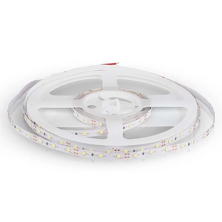 BANDA LED - Banda led smd3528 60led/m 6000k ip20 5m V-tac