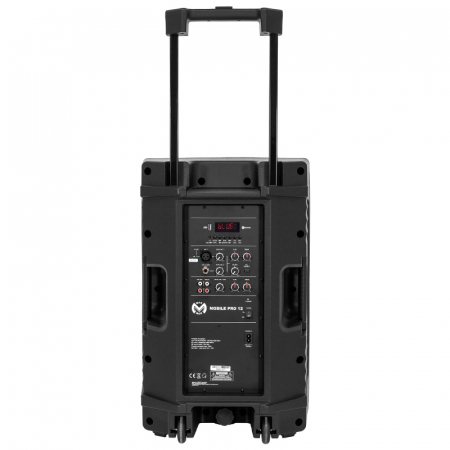 BOXA PORTABILA 12''/31CM 250W RMS TWS CU BT/USB + 2 MIC WIRELESS [9]