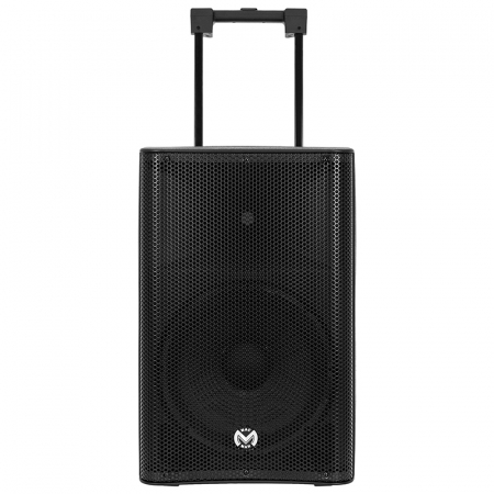 BOXA PORTABILA 12''/31CM 250W RMS TWS CU BT/USB + 2 MIC WIRELESS [7]