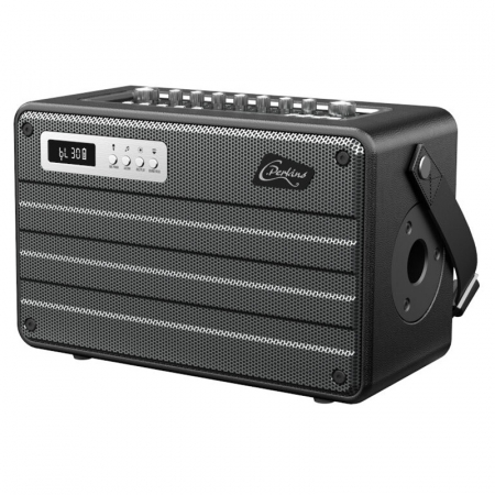 BOXA PORTABILA ALL IN ONE 100W UHF BT/USB/MSD/AUX [3]