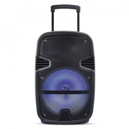BOXA PORTABILA ILUMINATA LED 12"/30CM 35W RMS CU USB/SD/BT/FM [1]