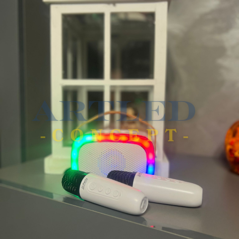 BOXA PORTABILA KARAOKE CU 2 MICROFOANE FUNCTIE BT/USB/TWS [1]