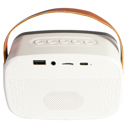 BOXA PORTABILA KARAOKE CU 2 MICROFOANE FUNCTIE BT/USB/TWS [2]