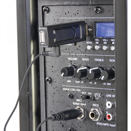 MICROFON WIRELESS CU MODUL USB [1]