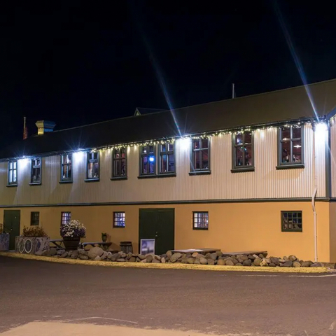 REFLECTOR LED SMD 100W 6400K IP65 - NEGRU [8]