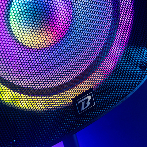 SET BOXE 2X12"/30CM 2X250W RMS 1 ACTIV + 1 PASIV USB/SD/BT/FM [15]