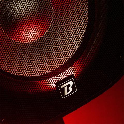 SET BOXE 2X12"/30CM 2X250W RMS 1 ACTIV + 1 PASIV USB/SD/BT/FM [16]