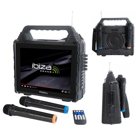 Set-uri Karaoke - SET PORTABIL KARAOKE CU ECRAN INCORPORAT 14.1" SI 2 MIC WIRELESS