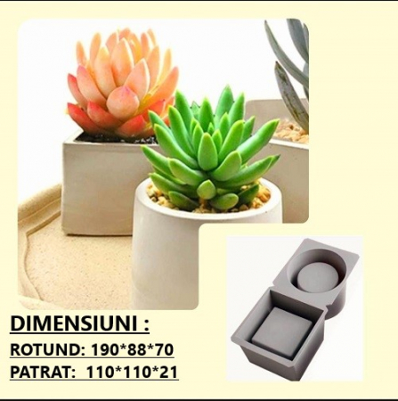 ACCESORII PENTRU RASINA EPOXIDICA - MATRITE SILICON - RYF - D3219