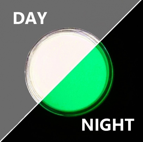 PIGMENT FOSFORESCENT GLOW IN THE DARK - PIGMENT FOSFORESCENT GLOW IN THE DARK - ALB - VERDE 15 GR - 30-50 MICRONI