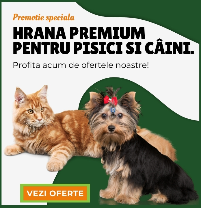 Promotii