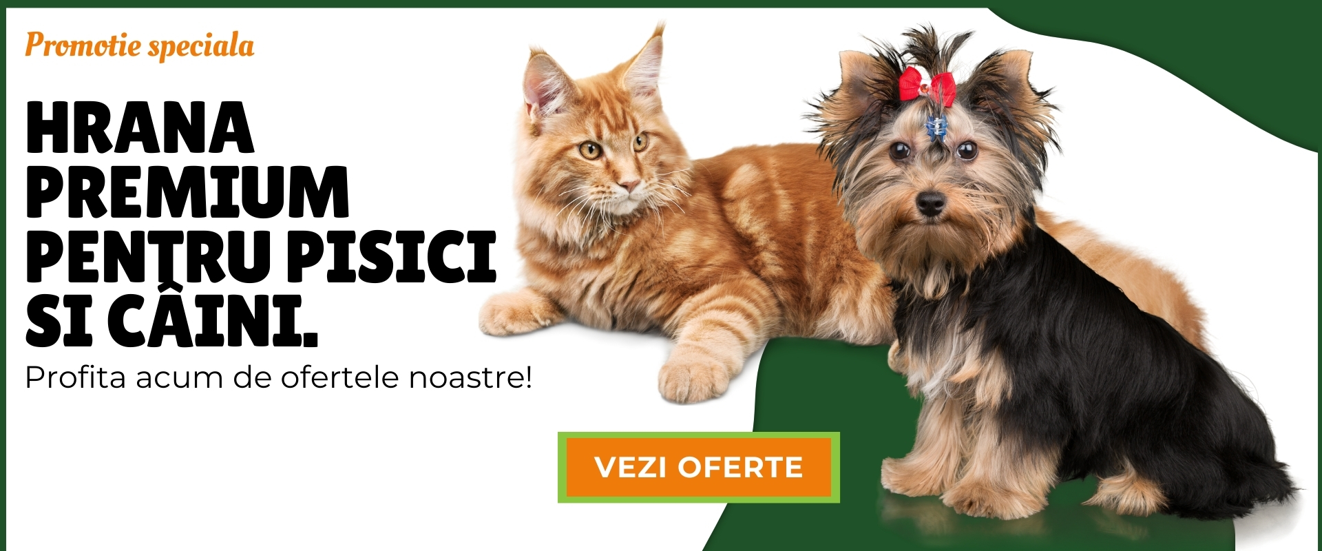 Promotii