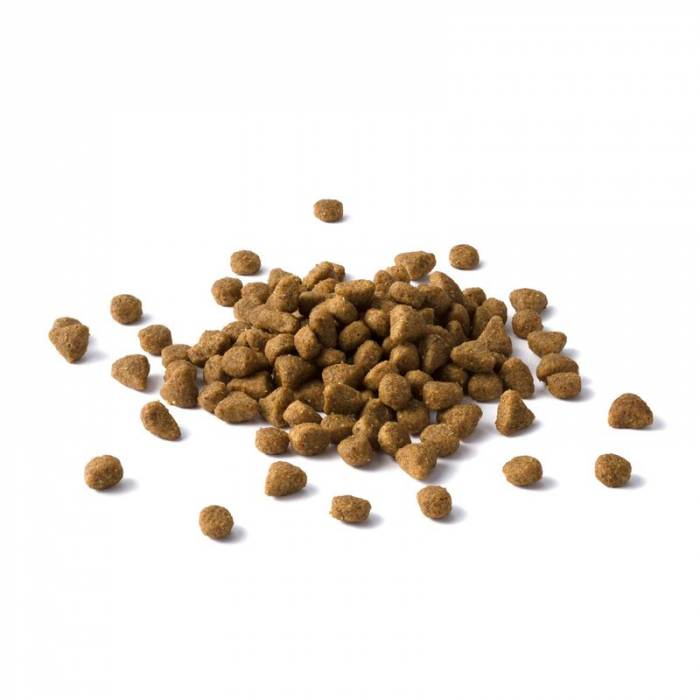 Cat Chow Adult Somon & Ton 15 Kg [3]