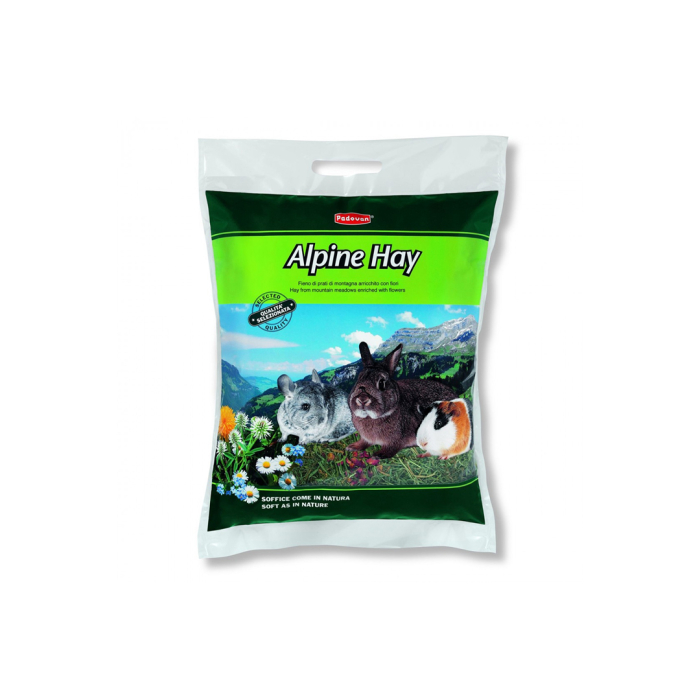 Fan Alpin 700 Gr Padovan [1]