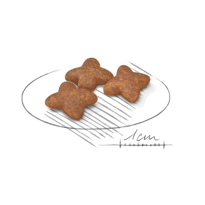 Hrana Caine Shn Mini Adult 2kg 142710 Royal Canin [2]