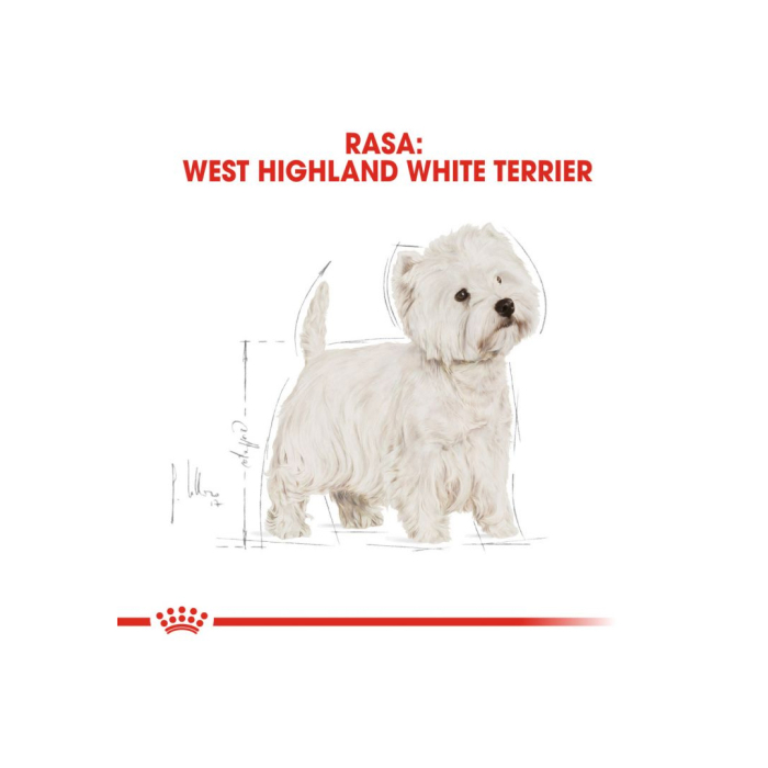 Hrana Caini Bhn Westie Adult 1.5kg 135260 Royal Canin [5]