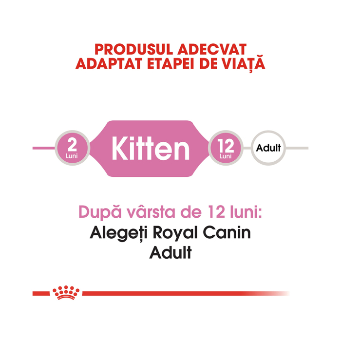 Hrana Pisica Fhn Kitten 2kg Royal Canin 249280 [3]