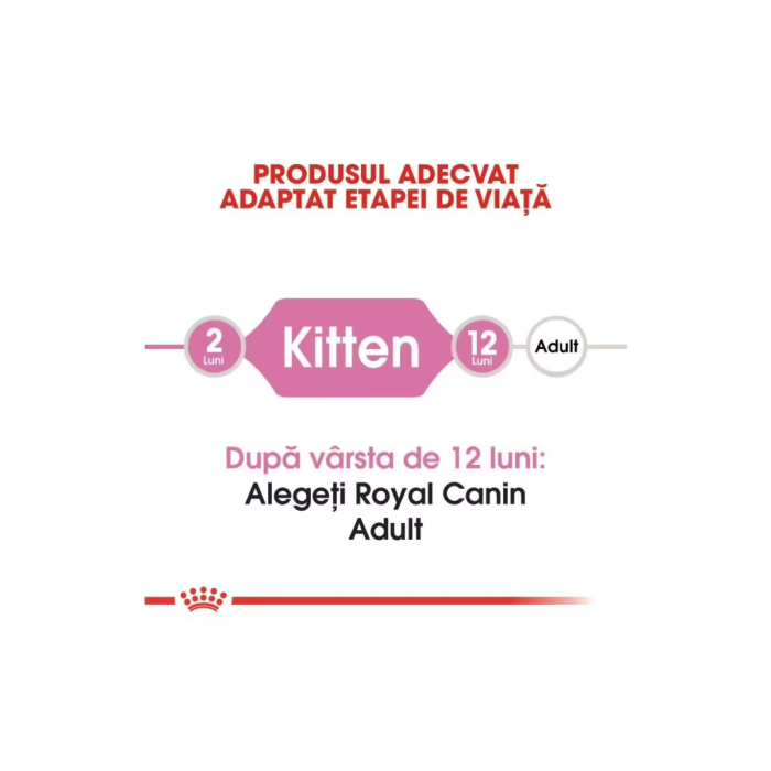 Hrana Pisica Fhn Kitten 400gr 249230 Royal Canin [5]
