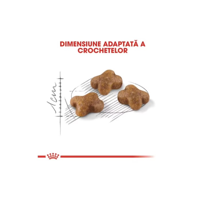 Hrana Pisica Fhn Kitten 400gr 249230 Royal Canin [3]