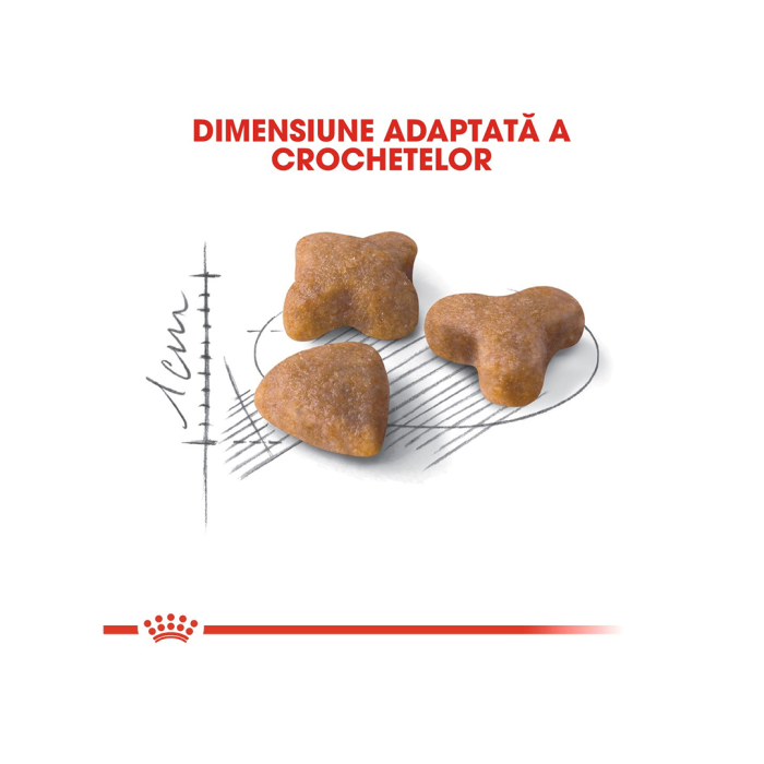 Hrana Pisica Fhn Sensible 2kg 127310 Royal Canin [5]