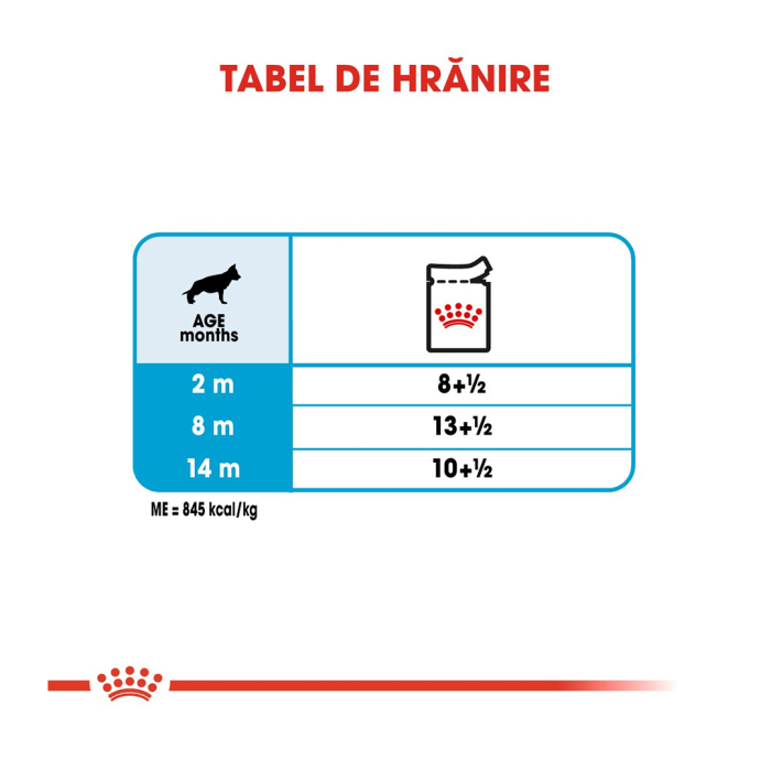 Plic Maxi Puppy 140gr Caine Br29x Royal Canin [4]