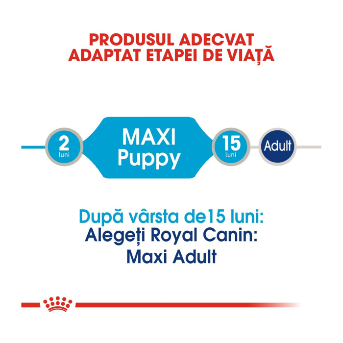 Plic Maxi Puppy 140gr Caine Br29x Royal Canin [6]