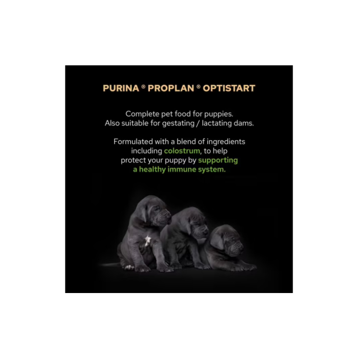 Pro Plan Caine Medium Puppy Cu Pui 3kg [3]