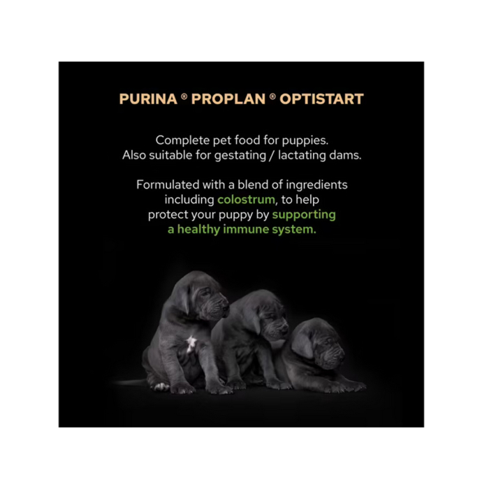 Pro Plan Caine Puppy Large Robust Cu Pui 3kg [3]