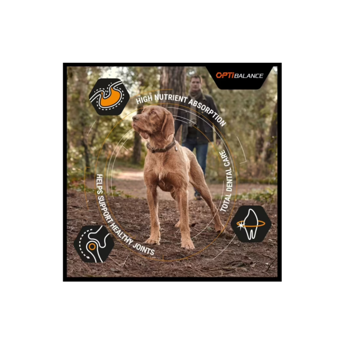 Pro Plan Caine Small Mini Adult Cu Pui 3kg [4]