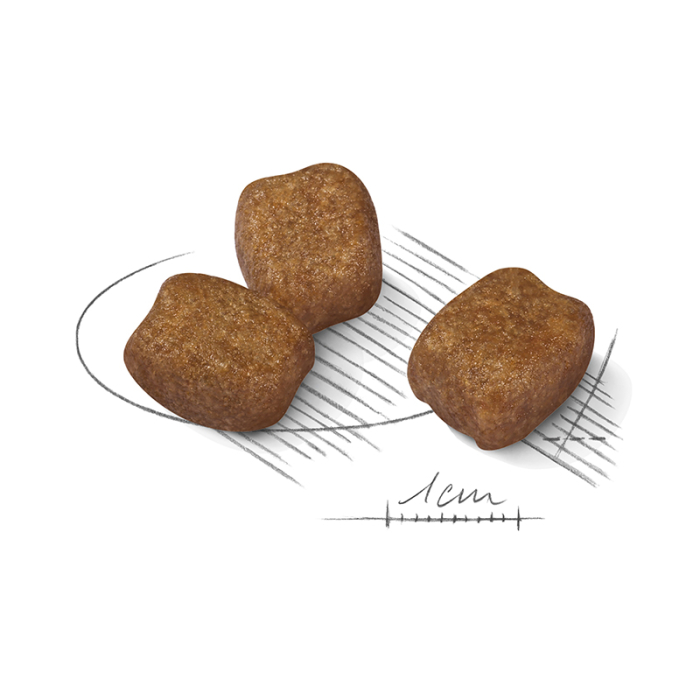 Royal Canin 272530 CCN Mini Dental Care Caine 1kg [2]