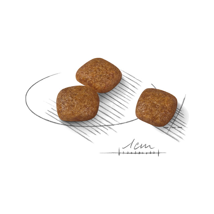 ROYAL CANIN CCN MINI URINARY CARE 1 KG [2]