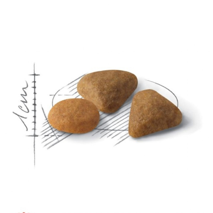 Royal Canin Exigent Savour Hrana Uscata Pisici [2]