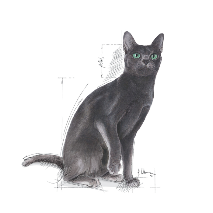 Royal Canin Sterilised 37 Hrana Uscata Pisici 10kg [3]