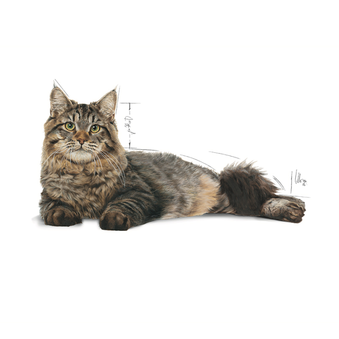 Royal Canin Urinary Care Hrana Uscata Pisici [3]