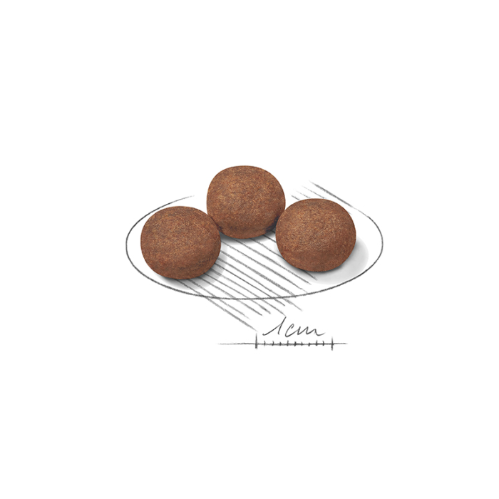 Shn Medium Puppy 4Kg 252300 Royal Canin [2]