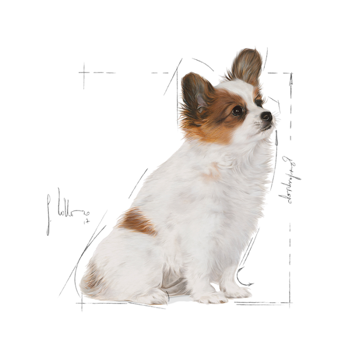 Shn X-Small Puppy 500G 252610 Royal Canin [3]