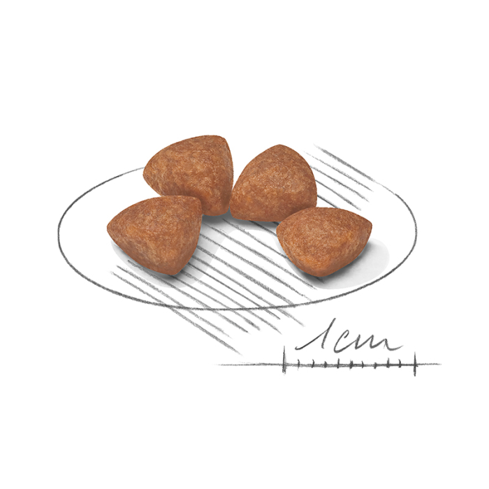 Shn X-Small Puppy 500G 252610 Royal Canin [2]
