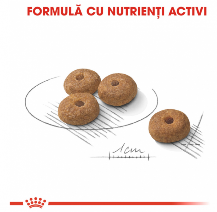Mini Sterilizat Caine 8kg Royal Canin [5]