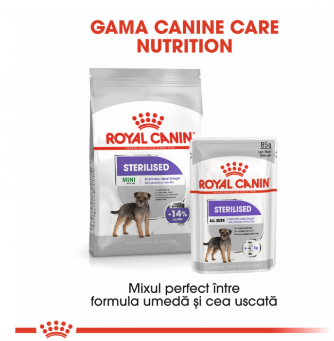 Mini Sterilizat Caine 8kg Royal Canin [3]