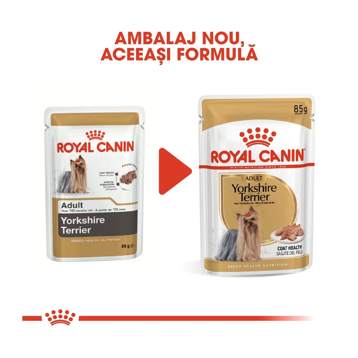 Yorkshire Terrier Pouch Plic 85G At65P Royal Canin [3]