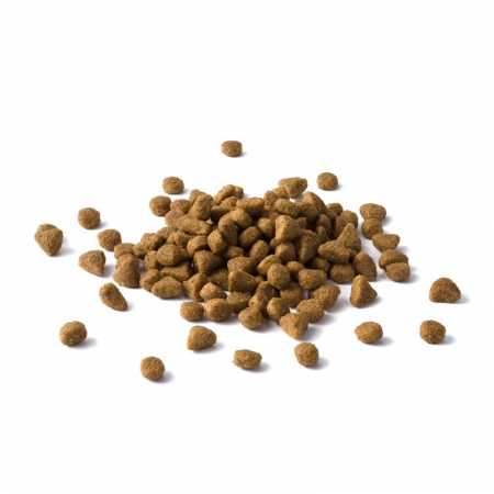 Cat Chow Adult Somon & Ton 15 Kg [2]