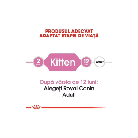 Hrana Pisica Fhn Kitten 400gr 249230 Royal Canin [4]